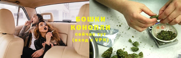 тгк Касимов
