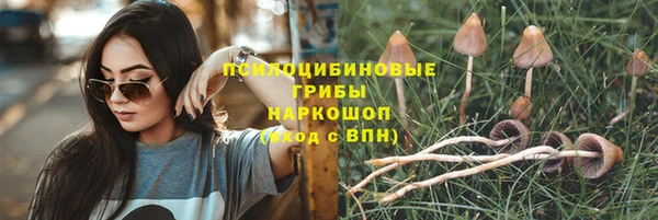 соль ск Инта