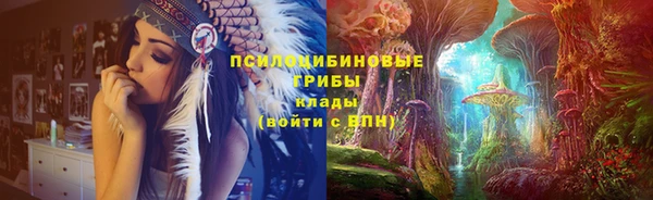 амф Инсар