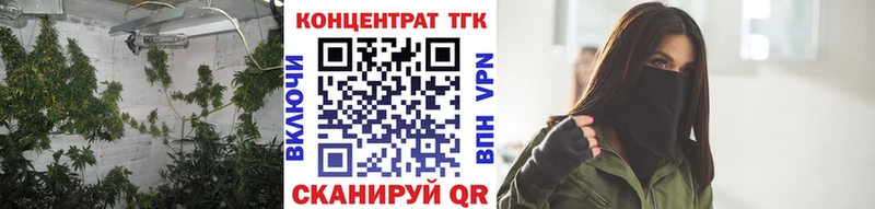 shop официальный сайт  Камень-на-Оби  Дистиллят ТГК Wax 