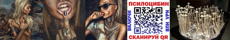 купить закладку  Камень-на-Оби  это Telegram  Псилоцибиновые грибы Magic Shrooms  гидра ссылки 